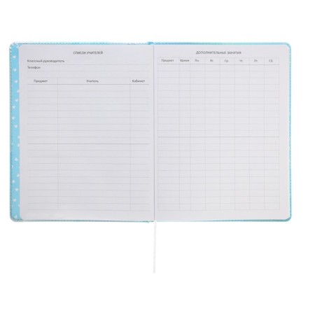 Universal diary for grade 1-11 Cool Girl, hard cover, artificial leather, silkography, lies, 80 g/m2-6