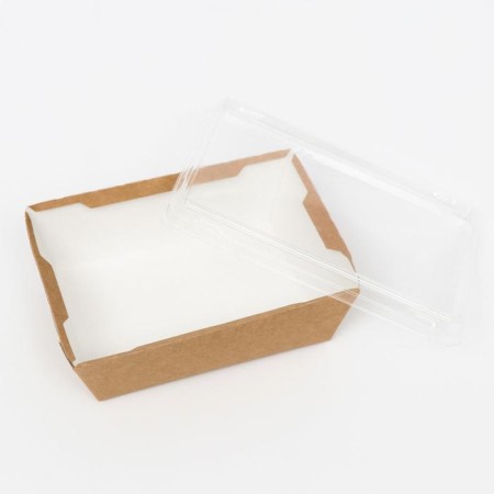 A container with a transparent lid, craft, 0.4 l, 14.5 x 9.5 x 4, 5 cm-1