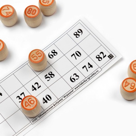 Russian lotto "So far all at home", 24 cards, card 21 x 8 cm-4
