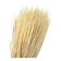 Brush flat bison 4-01003-020, natural bristles, wooden pen, 20mm