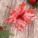 Decor "Cold Flower" 24x20 cm, pink