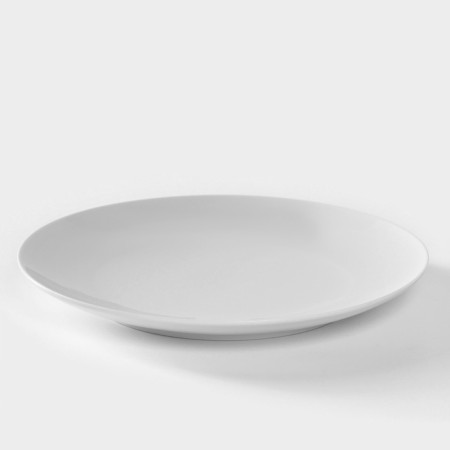 Porcelain plate "Universal", d = 24 cm, white