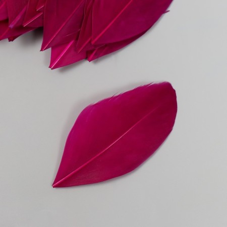 Decorative goose “dark purple” in the shape of a sheet set 40 pcs h = 5-7 cm-1