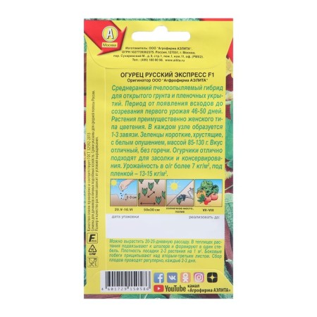 Seeds of cucumber "Russian Express" F1, medium early, bee -legged, 10 pcs.-1