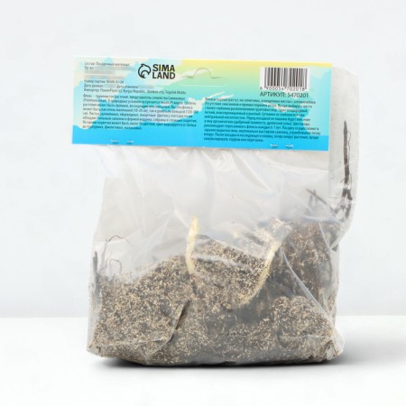 Phlox mixture of varieties I, 2 pcs, spring 2024-2