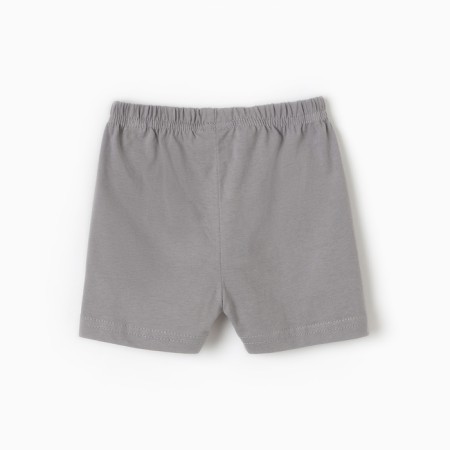 Shorts for a boy, gray color, height 74 cm-2