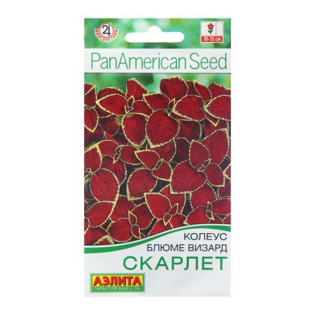 Seeds Kohlusa Bluma Scarlet MN sat down. Panamerican Golden Series C/P 5 pcs