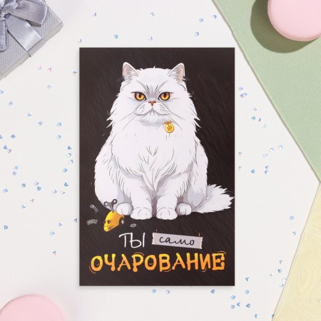 Postcard "You are the charm itself!" White Cat, A5-1