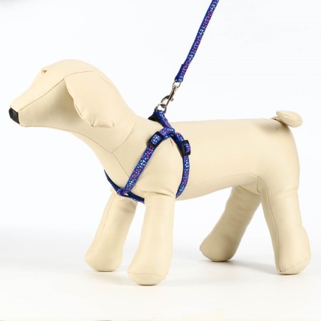 Set "Star Bones", leash 120 x 1 cm, og 23-35 cm, blue-2
