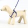 Set "Star Bones", leash 120 x 1 cm, og 23-35 cm, blue