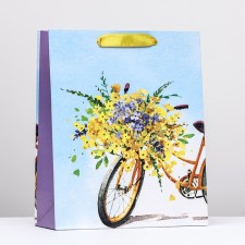 Gift package 