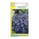 Seeds Bell are "Pearl", Drage, 10 pcs