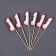 Skewers 18+, in the set 6 pcs.