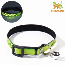The collar of the reflective 