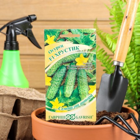Seeds of cucumber "Crunks" F1, cornishon, early -grown, parthenocarpic, 10 pcs.