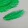 Decorative ostrich feather "dark green" h = 15-20 cm