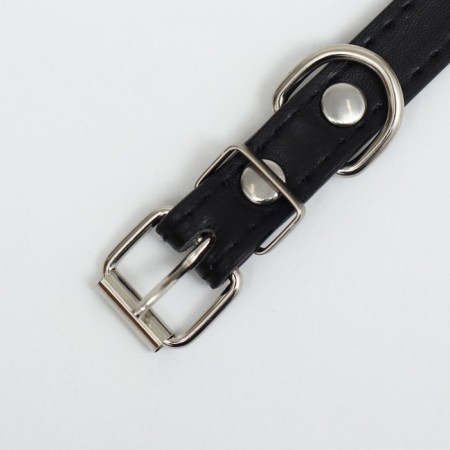A collar with blunt spikes 38 x 1.5 cm, Osh 26-33, frost-resistant PU, black-3