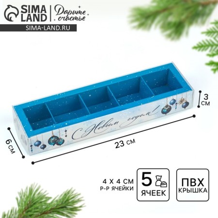 Box for 5 sweets with cells "Frosty luxury", 6 x 23 x 3 cm, New Year
