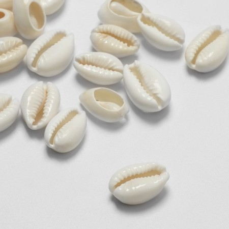 Beads for creativity "shell", 2 × 1 cm, unusual, 14-18 mm, set 20 pcs, white color