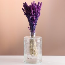 Set of dried flowers 
