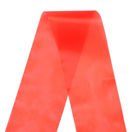 Set of tapes "Primary school", silk red foil, 5pcs-2