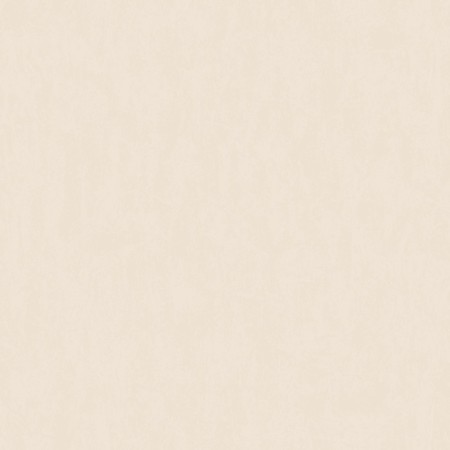 Paper wallpapers "Gomel wallpaper Texas von 61, 0.53x10.05m