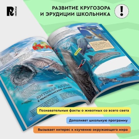 Illustrated Atlas "Seas and Oceans"-2