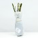 Seedling rose Floribunda (bush) ballad, 1 pc, spring 2024