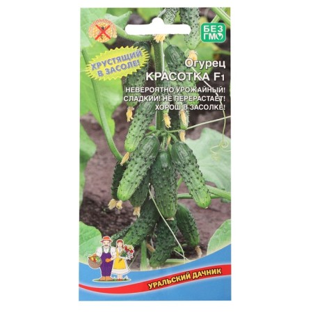 Cucumber seeds "Beauty", F1, 10 pcs