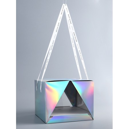 Bearbox under the bento-port with ribbons, holography, 25 x 25 x 20 cm