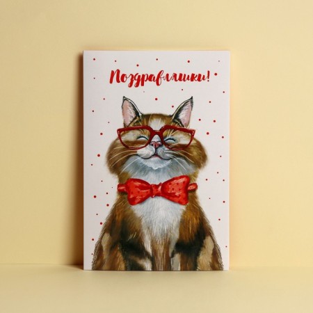 Postcard "Congratulations", good cat, 12 × 18 cm-1