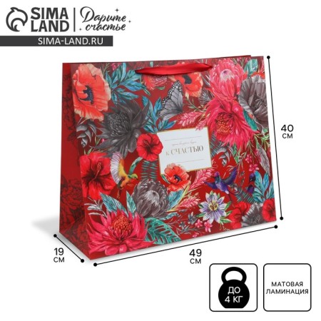 Gift package laminated, packaging, "Fortunately", XL 49 x 40 x 19 cm