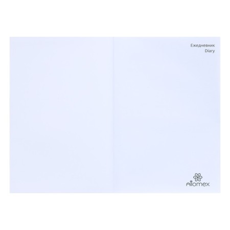 Leduced A5 Diary, 160 sheets, attomex.Rigent, solid boumvinyl cover with foam rubber, liesse, block 70 g/m2, brown-2