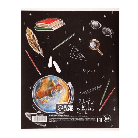 Subject subject calligrata "board", 48 sheets in the cell of physics, with reference material, cover coated cardboard, block offset-1
