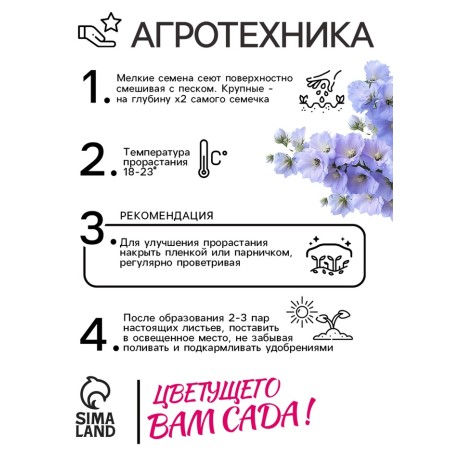 Flower seeds Dolphinium "Moning Light F1", 3 pcs-3
