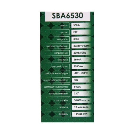 LED LED SAFFIT, 30W 230V E27 6400K A65, SBA6530-5