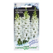 Antirrinum flower seeds (lion's pharynx) 