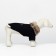 Coats for dogs, size XS (DS 20, OG 29-30, Osh 20-21 cm), black