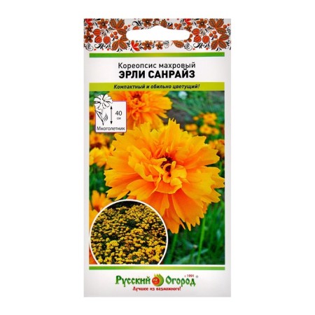 Coreopsis Flowers Erley Sanraise Terry (40pcs)