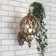 Elektrostandard Lamp Garden-Park, 60 W, E27, IP44, Wall, Sirius U