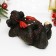 Piggy bank "Dragon Dreamer" Black, 28x17.5x13cm