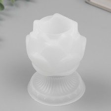 Mold Silicon 