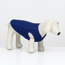 Dog jacket 