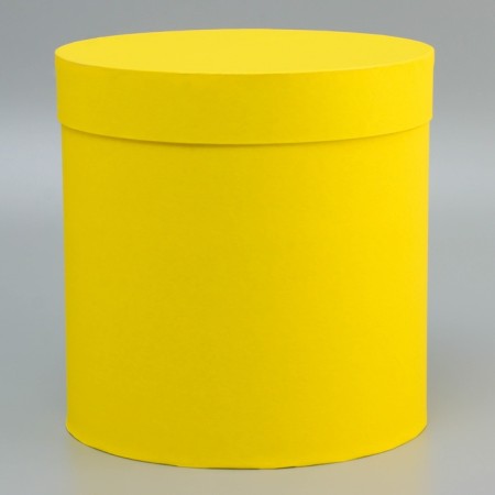 Round box "Yellow" 23*23*23cm-2