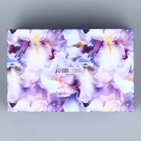 Rectangular gift box, packaging, Pressent, 26 x 17 x 10 cm-4
