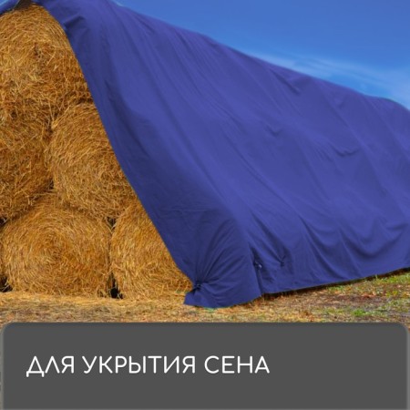 Protective tent, 4 × 3 m, density 180 g/m², UV, eyelets step 1 m, blue-9