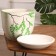 Flower pot "shrub" painting 6 l