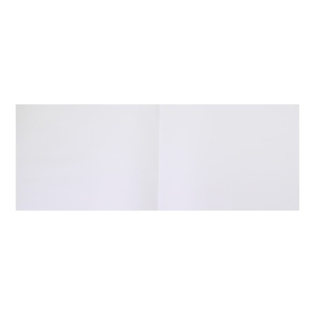 Album for drawing A4, 40 sheets on the gluing "Avocado", covered cardboard, block 100 g/m²-3