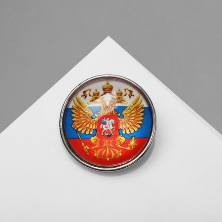 Brooch "Russian Federation", color in silver