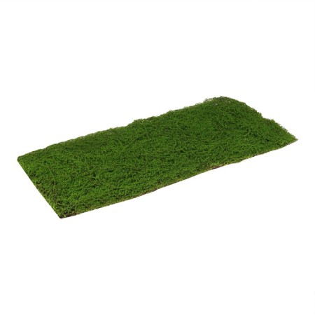 Decorative panel, 90 × 40 cm, "moss", Greengo-11